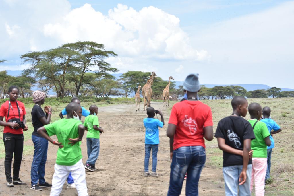 Children and carers observing giraffes on a nature outing
